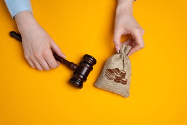Para çantası ve yargıcın çekici. Bir suç ve suçun cezası. Finansal ceza. Trafik kurallarının ihlali. Sahtekar. Tamam, ceza, Mulct. Gavel.