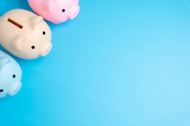 Kumbaralar. Tasarruf ve bütçe. Yatırımlar, tasarrufların çeşitlendirilmesi. Finansal dayanıklılık inşa etmek. Finansal eğitim, ekonomi ve kişisel finans. Akıllı mali yönetim