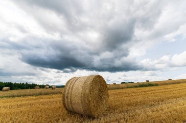 Kırsaldaki bir tarlada tahıl hasadı, saman balyaları ve gökyüzünde bulut.