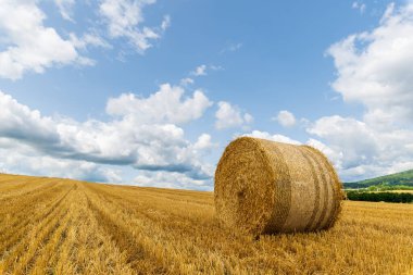 Kırsaldaki bir tarlada tahıl hasadı, saman balyaları ve gökyüzünde bulut.