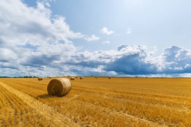 Kırsaldaki bir tarlada tahıl hasadı, saman balyaları ve gökyüzünde bulut.
