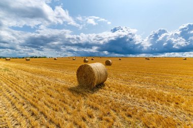 Kırsaldaki bir tarlada tahıl hasadı, saman balyaları ve gökyüzünde bulut.