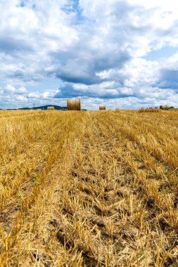 Kırsaldaki bir tarlada tahıl hasadı, saman balyaları ve gökyüzünde bulut.