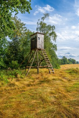 Kırsal alan, tarlalar ve gökyüzü üzerinde fırtına bulutları