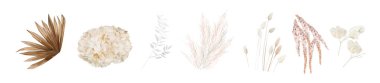 Kurumuş çiçekler, yapraklar. Bej ortanca, krem pampa otları, kuru palmiye yaprakları, lagurular, ay dalları. Suluboya tarzı, vektör çizimi. Düğün davetiyesi, dekoratif buket. Düzenlenebilir ögeler
