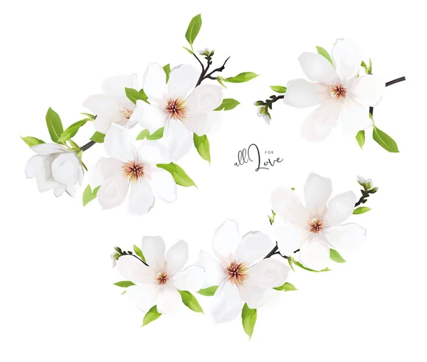 Fiore Magnolia Bianco Crema Foglie Verdi Bouquet Rami Elegante Acquerello — Vettoriale Stock