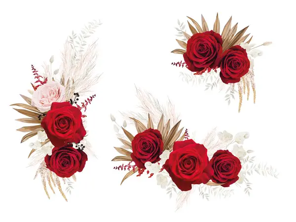 Bohém Stílusú Akvarell Virágcsokor Piros Kerti Rózsák Pampafű Elegáns Virágok Vektor Grafikák