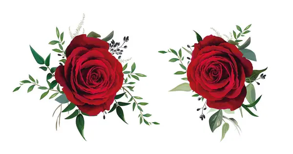 Rote Rose Weinrote Blume Mit Grünen Blättern Vektor Aquarell Editierbare Stockillustration
