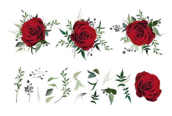 Rote Rose Blume Grünes Eukalyptus Weingrüne Blätter Beerenzweige Vektoraquarell Illustration Vektorgrafiken