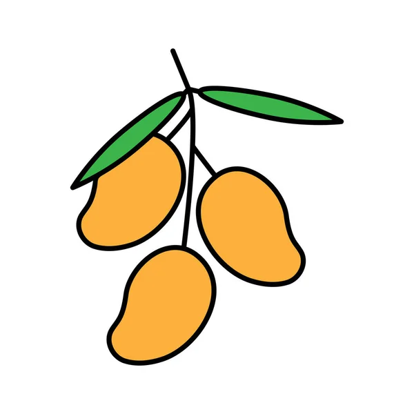 Mango Gyümölcs Ikon Farm Előfizetői Tervezés Sablon Vektor Elszigetelt Illusztráció — Stock Vector