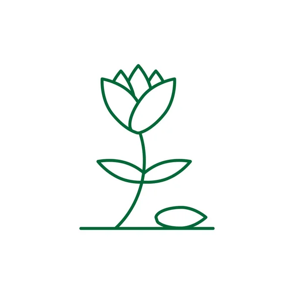 Вектор Дизайна Логотипа Цветочного Растения Изолирован — стоковый вектор