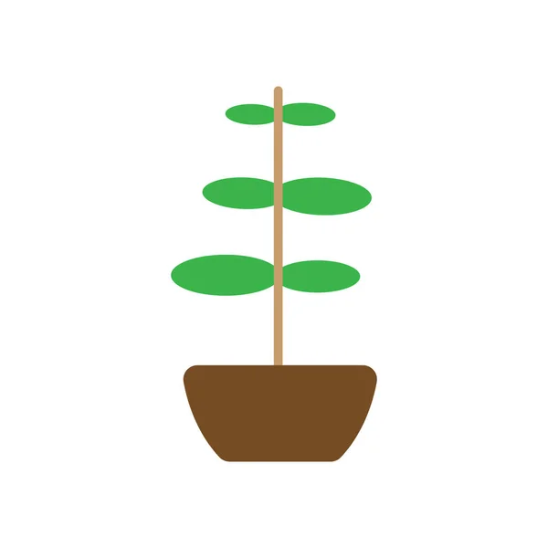 Plant Icon Logo Design Template Vector Isolated — Stock Vector