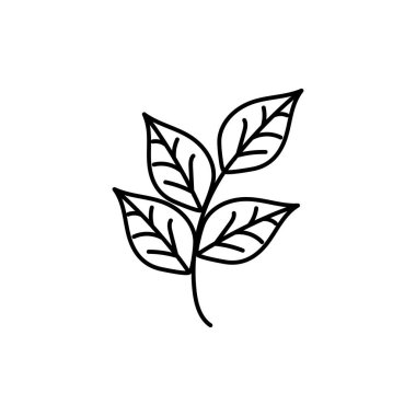 decorative hand drawn lines floral