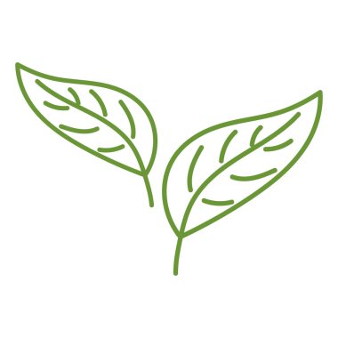 Leaf green nature icon design template isolated