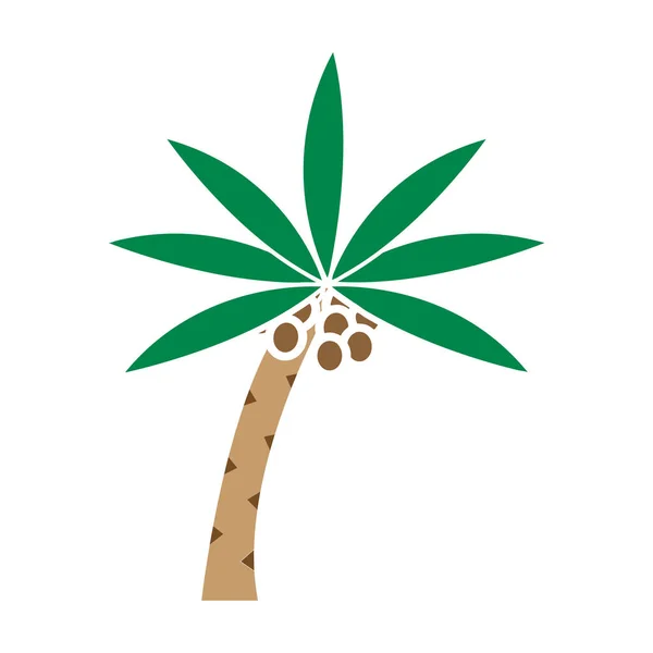 Kokosnöt Träd Ikon Clipart Design Illustration Mall — Stock vektor