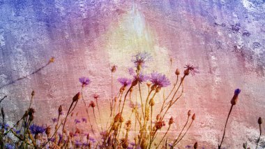 Mavi gökyüzünün arka planında güzel çiçekler