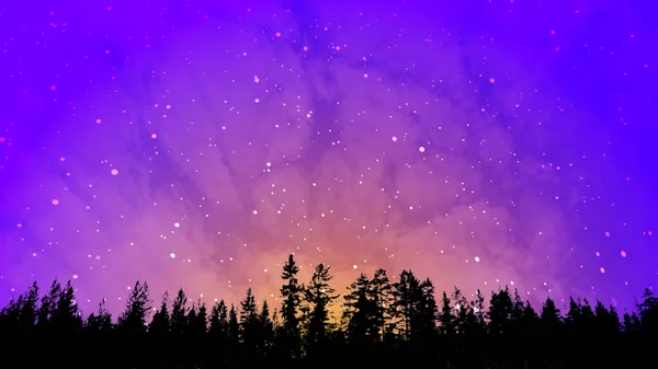 night sky with stars and snow
