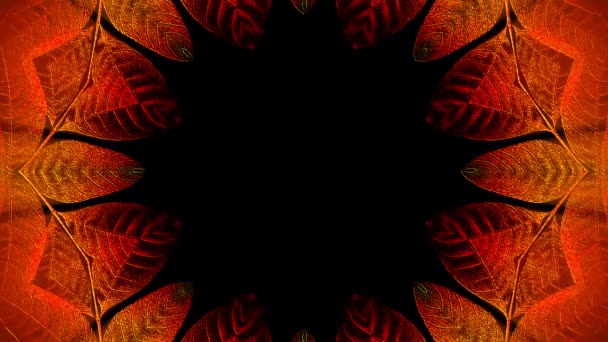 Barevný Kaleidoskop Abstraktní Mandala — Stock video