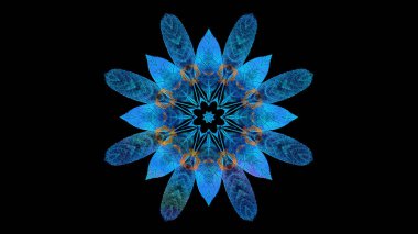 Siyah arkaplanda güzel soyut fraktal çiçek