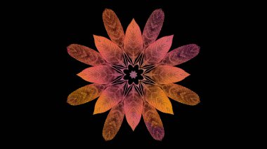 Siyah arkaplanda güzel soyut fraktal çiçek