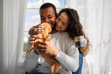 Gülümseyen, çoklu etnik çeşitlilikte genç bir çift Chihuahua köpeğiyle oynuyor ve evde sabah kahvelerini yudumluyorlar.