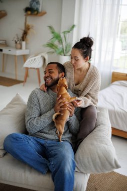 Örgü elbiseli genç çift evde koltukta dinlenirken chihuahua köpeğiyle oynuyorlar.