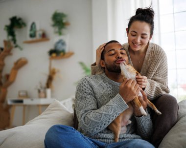 Sıcak giysiler içinde neşeli genç bir çift evdeki koltukta chihuahua köpeğiyle oynuyor.