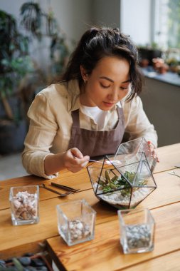 Önlüklü Asyalı kadın çiçekçi çiçekçide sulu çiçeklerle teraryuma taş döküyor.
