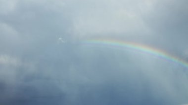 Gökkuşağının önünde uçan kuş Gri gökyüzünde