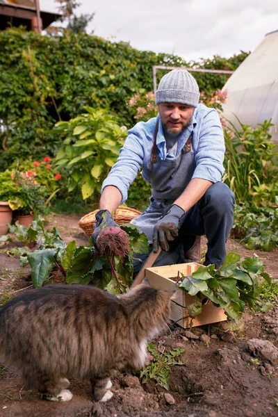 male farmer in hat holds on his hands a striped gray cat.
