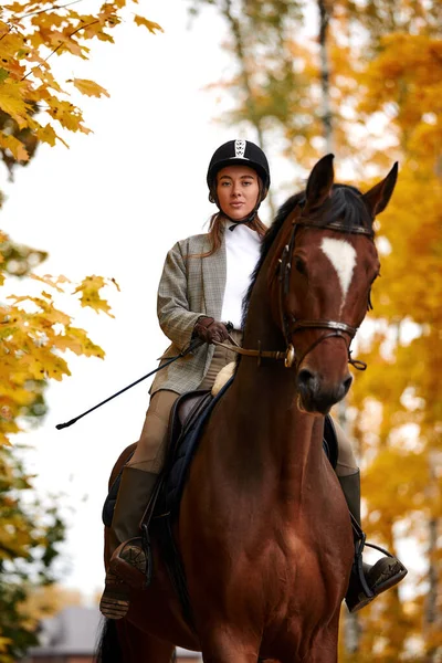 Portrait Pretty Young Woman Brown Horse Riding Autumn Day — 스톡 사진