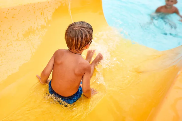 기쁨에 이수상 공원의 물길에서 수원지에 아이들의 매혹적 물놀이 휴가중의 아이들의 — 스톡 사진