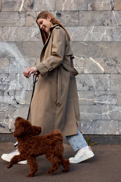 一个穿着米黄色雨衣 头戴玩具狮子狗 头戴灰色石墙的金发小女孩的全长肖像 在街上带着宠物散步 — 图库照片