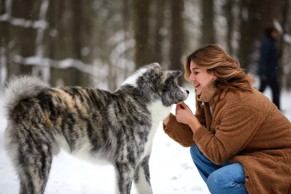 Amor Aos Animais Jovem Mulher Brincando Neve Com Cão Husky — Fotografia de Stock