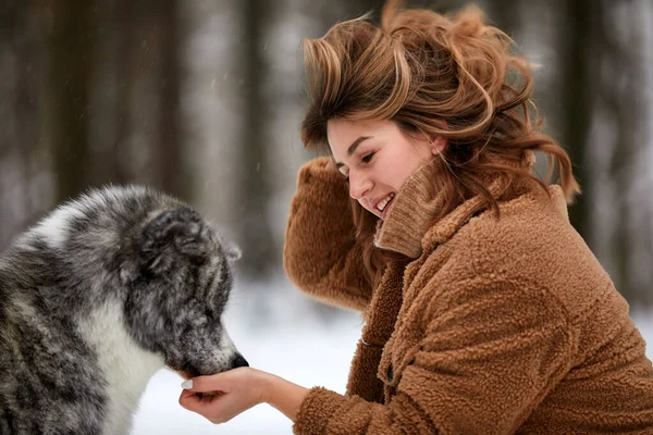 Love Animals Young Woman Playing Snow Husky Dog — ストック写真