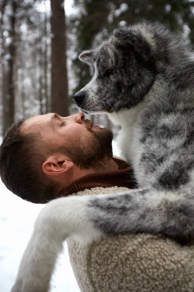 Mannen Spelen Met Siberische Husky Winter Bos Park Dieren Ecologie — Stockfoto