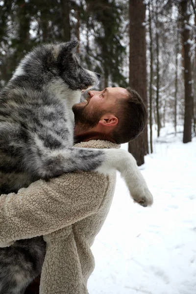 Homens Brincando Com Husky Siberiano Floresta Inverno Parque Animais Ecologia — Fotografia de Stock