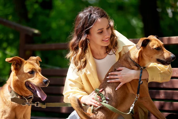 Charming young smiling girl with two golden dogs on a walk in the park on a sunny day. The girl hugs pets. Love and affection between owner and pet. Adopting a pet from a shelter. Close-up