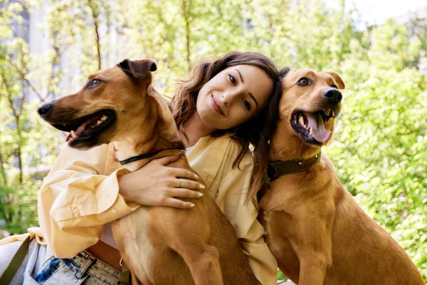 A young charming smiling girl is resting on a bench while walking in the park with two golden dogs. The girl hugs her pets. Love and affection between owner and pet. Adopting a pet from a shelter