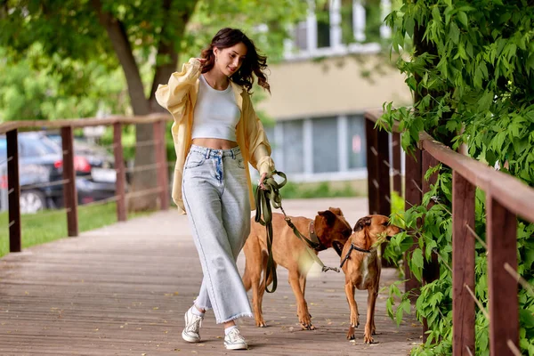 Charming young girl walks in the park with two golden dogs on a sunny day. Love and affection between owner and pet. Adopting a pet from a shelter