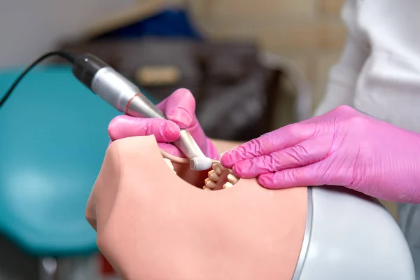 人間の頭部のマネキンで歯を治療することを学んでいる歯科医の手のクローズアップ ピンクの無菌手袋の女性医学生の手は 歯科ドリルを保持しています ストマトロジーと矯正学の概念 — ストック写真