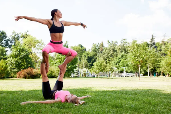 Two young women practice yoga in summer park. Slender caucasian girls in pink-black bodysuits doing exercises to strengthen their body and spirit. Morning gymnastics in fresh air. Healthy lifestyle