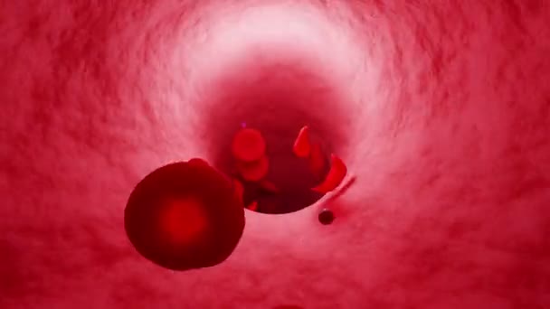 静脈トンネルだ 鎌状赤血球は静脈を循環する エリスロサイトと血小板 静脈をカメラが移動します H264 4予測L5 Yuv444P 3840X2160 ループ可 — ストック動画