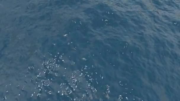 Μπλε Επιφάνεια Κύματα Νερού Όμορφο Φόντο Αντίγραφο Χώρο Μικρούς Κυματισμούς — Αρχείο Βίντεο