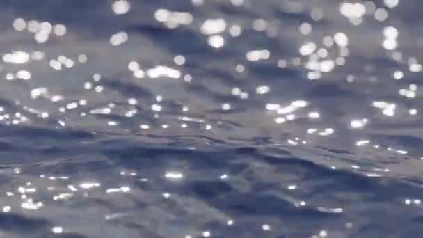 Pequenas Ondas Água Paisagem Marinha Fecha Ondas Oceano Natureza Animação — Vídeo de Stock