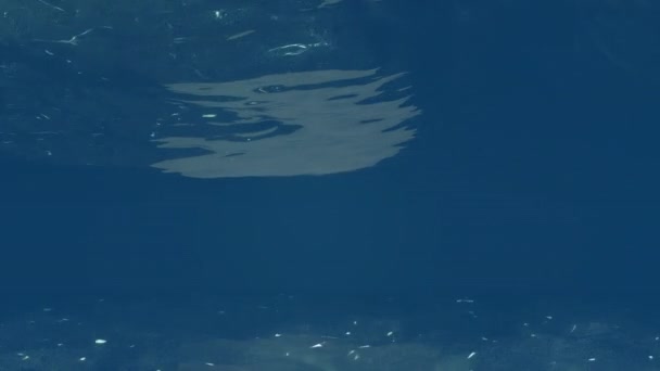 Fundo Animado Subaquático Luz Sol Brilha Através Das Ondas Oceano — Vídeo de Stock