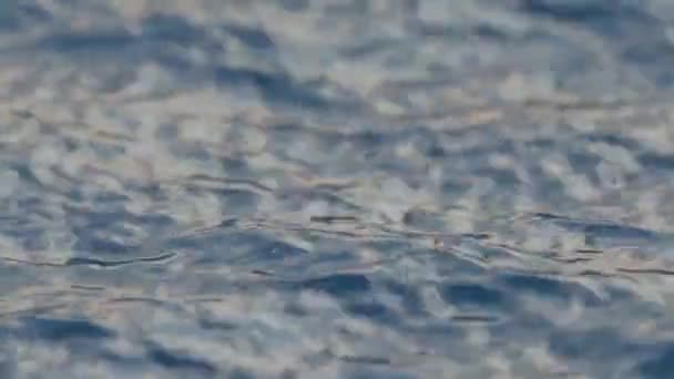 Tempo Chuvoso Gotas Chuva Caem Superfície Água Oceano Chuva Pequenas — Vídeo de Stock
