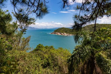 Canto Grande sahilindeki orman, bitki ve okyanus Bombinhas, Santa Catarina, Brezilya