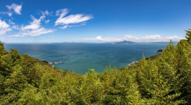 Canto Grande Sahili, Bombinhas, Santa Catarina, Brezilya 'da Orman, bitki ve okyanuslu Panorama
