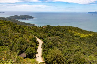 Canto Grande sahilindeki orman, kirli yol ve okyanus Bombinhas, Santa Catarina, Brezilya